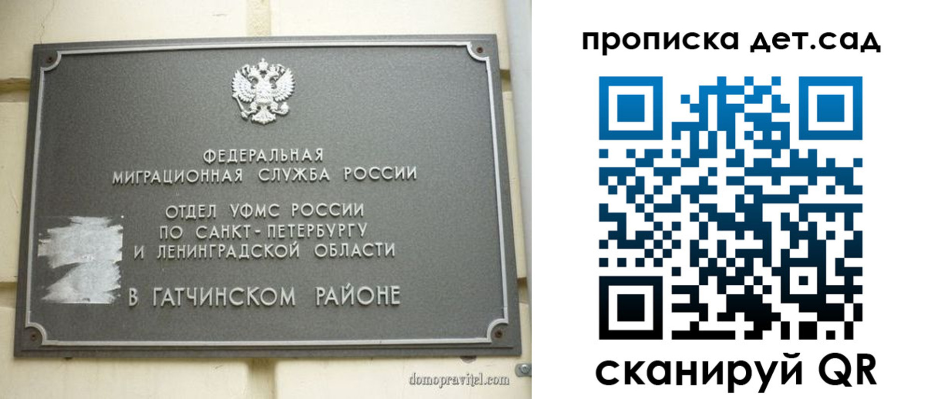 прописка гарантия в Звенигово