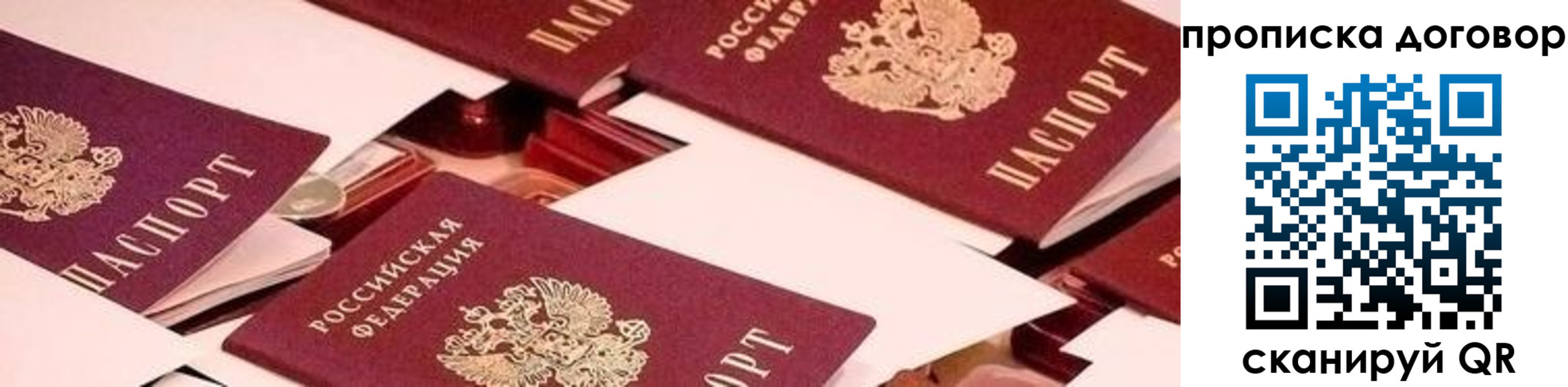 прописка для школы в Звенигово